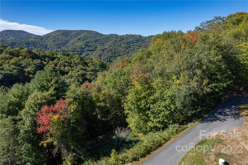 42 White Fox Lane - Photo 1