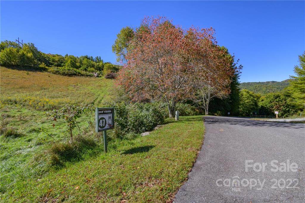 47 White Fox Lane - Photo 1