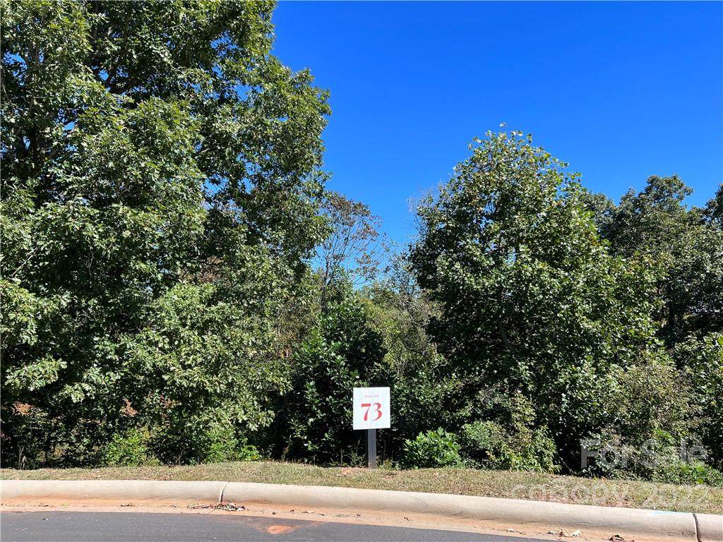 405 Blue Mind Way - Photo 1
