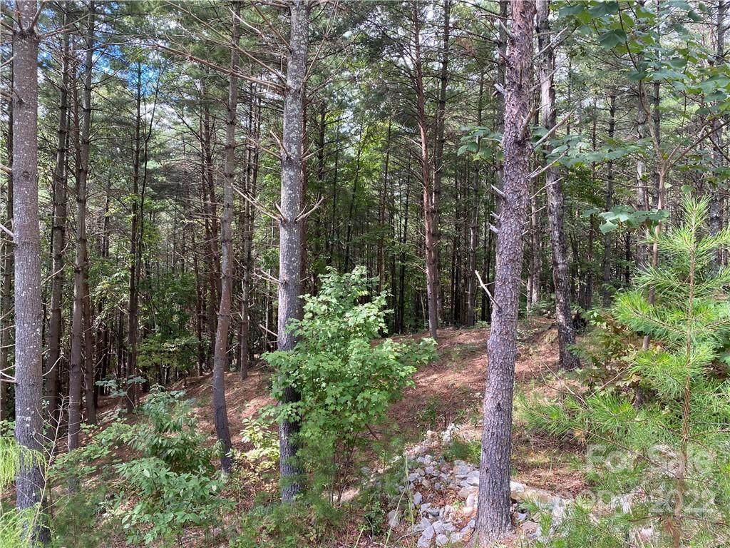 Lot 86 Crest View Drive - Photo 1