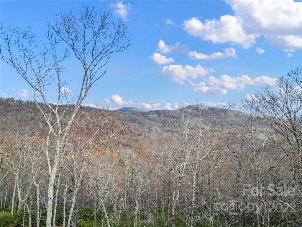 TBD Mountain Grove Lane - Photo 1