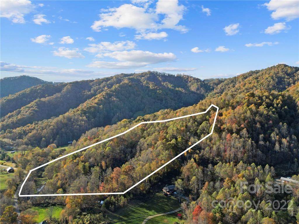 4635 East Fork Road - Photo 1