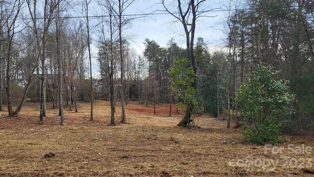 1471 Baton School Road - Photo 1
