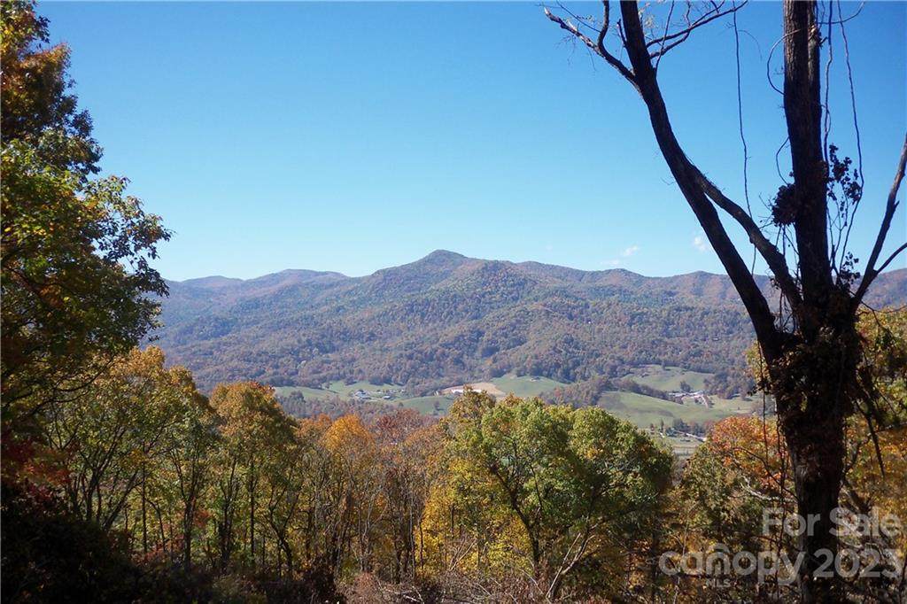 394 Aubrey Trail - Photo 1
