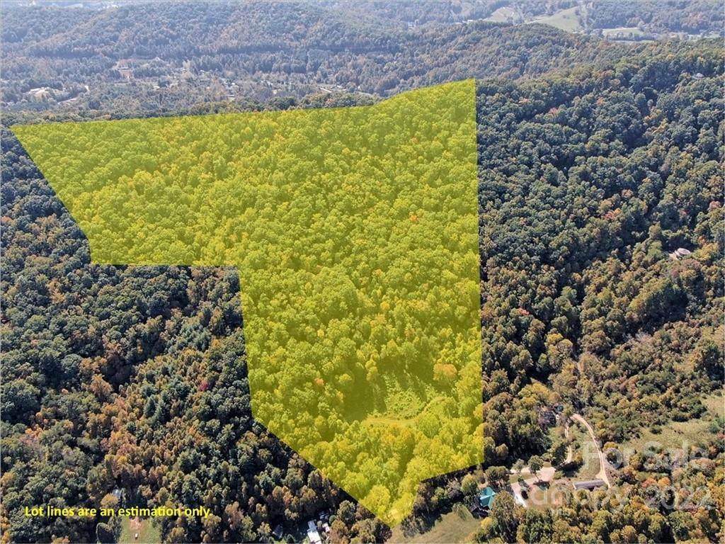 TBD Morgan Cove Road - Photo 1