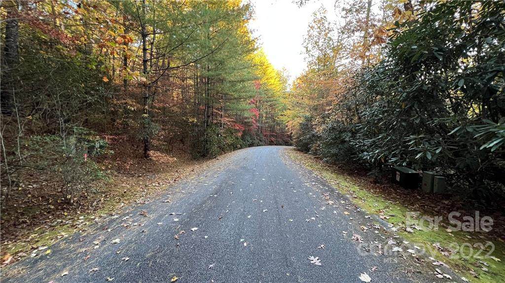 0000 Big Pine Road - Photo 1