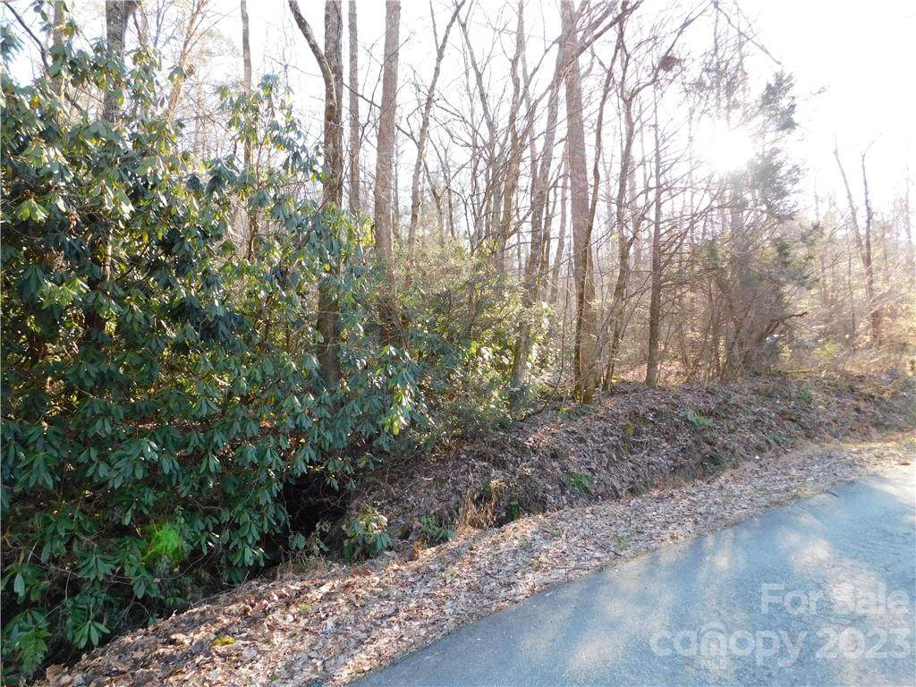 000 Green River Cove Road - Photo 1