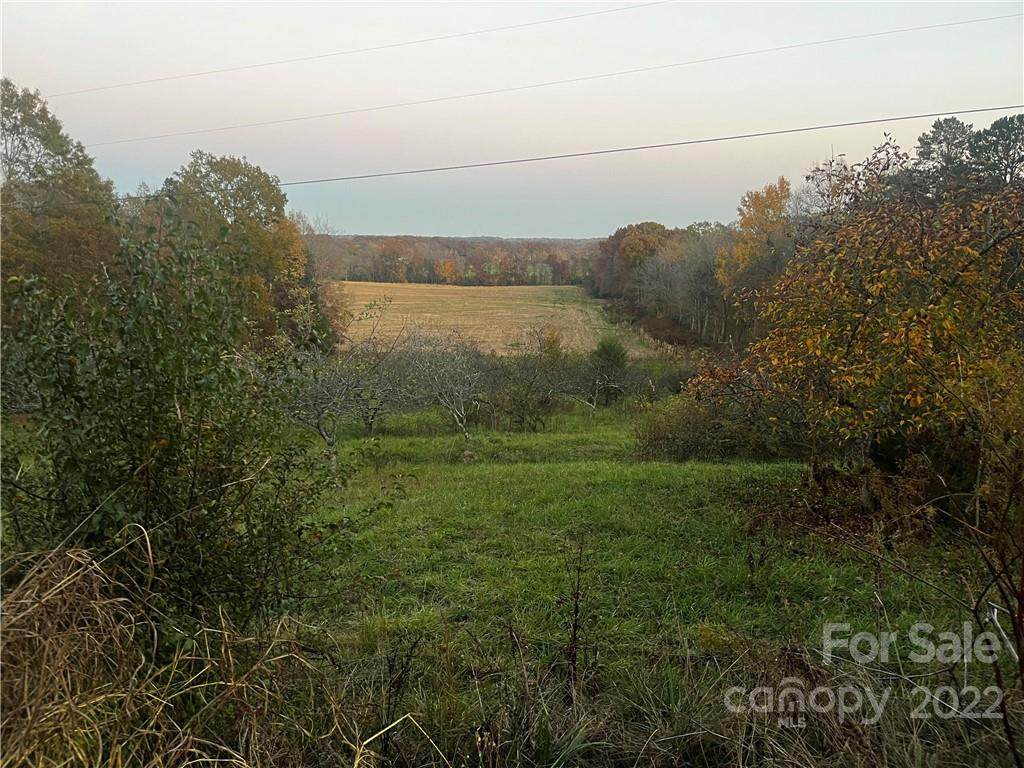 10333 Hartsell Road - Photo 1