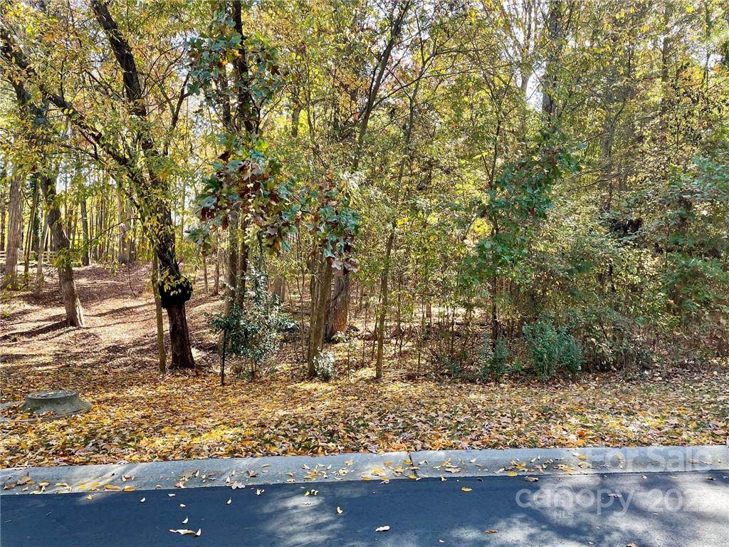 1675 Old Tara Lane - Photo 1