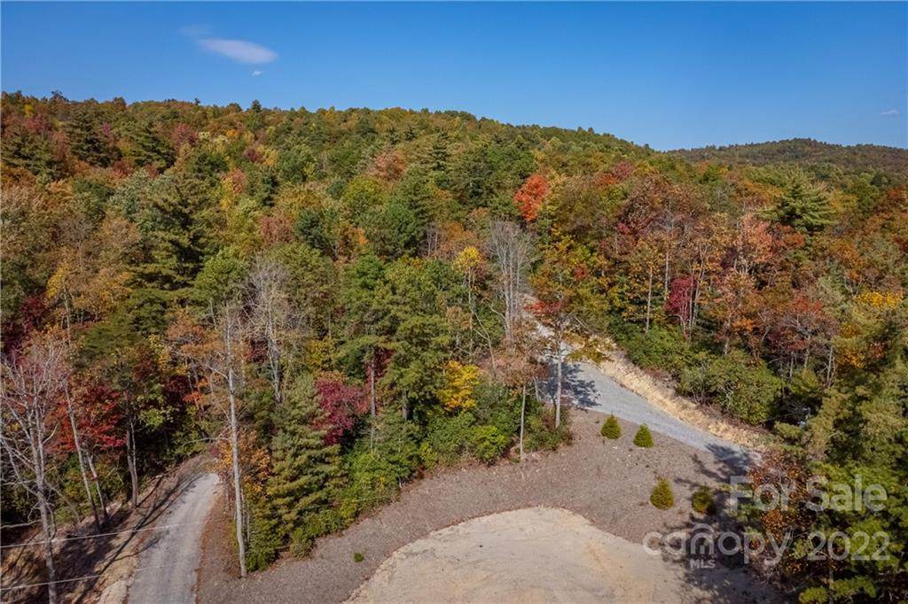 00000 Bulling Creek Road - Photo 1