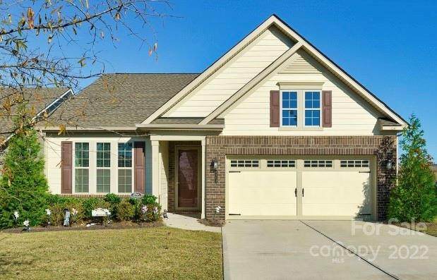 8202 Festival Way - Photo 1