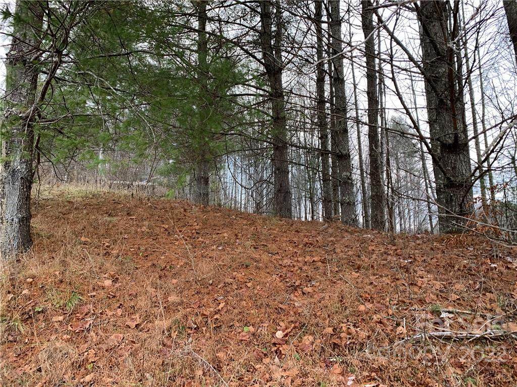 000 Union Hill Ridge Road - Photo 1