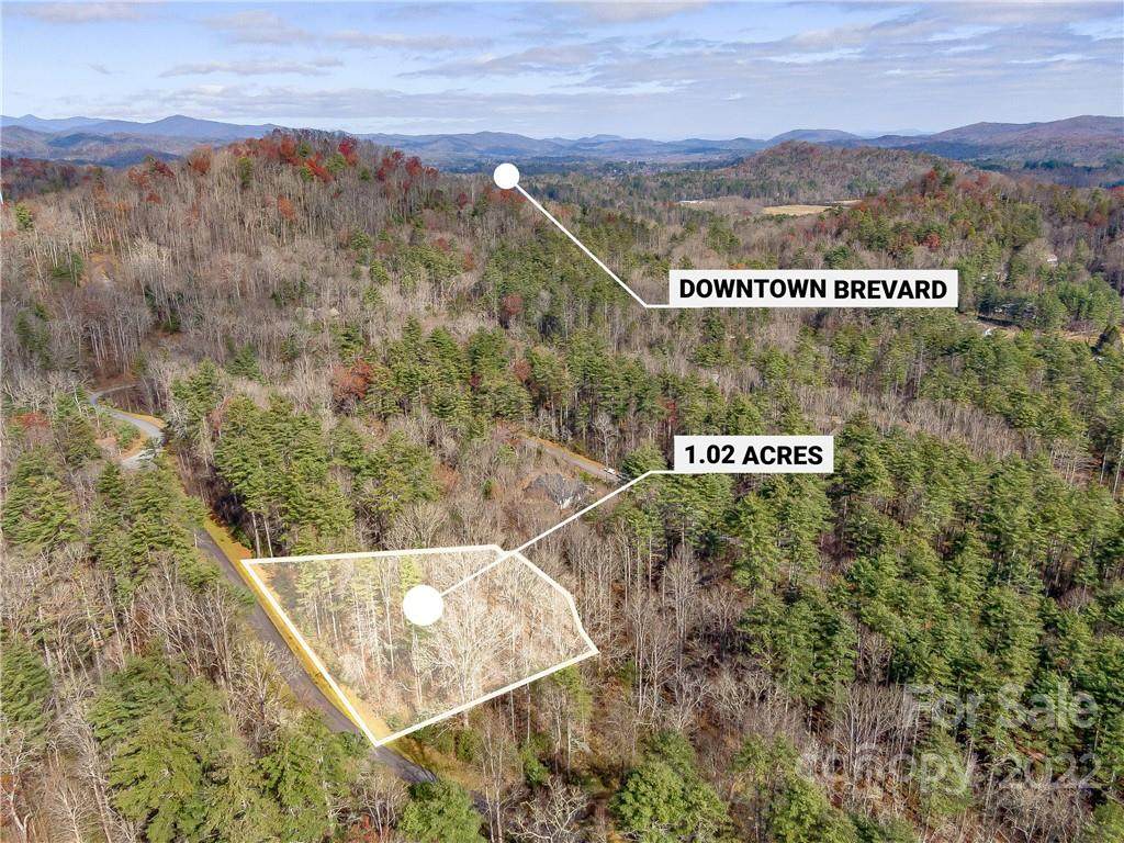 53R High Hemlock Trail - Photo 1