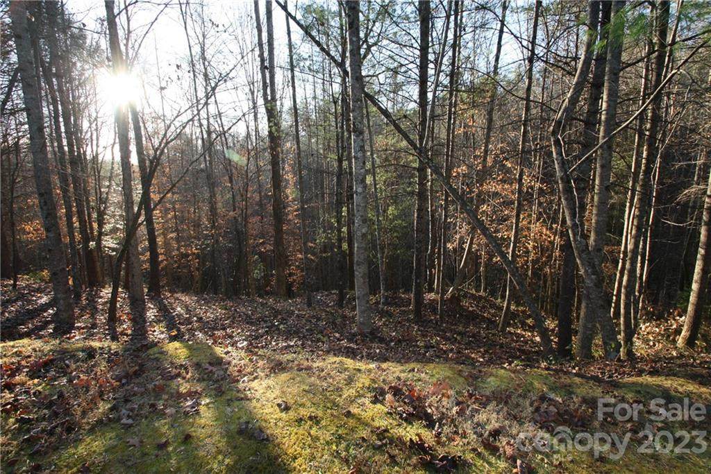 TBD Walnut Ridge Drive - Photo 1
