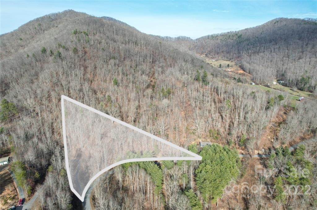 tbd Hickory Flats Road - Photo 1