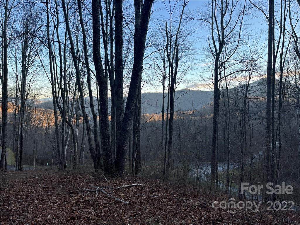 Lot 21 Mountain Watch Drive - Photo 1