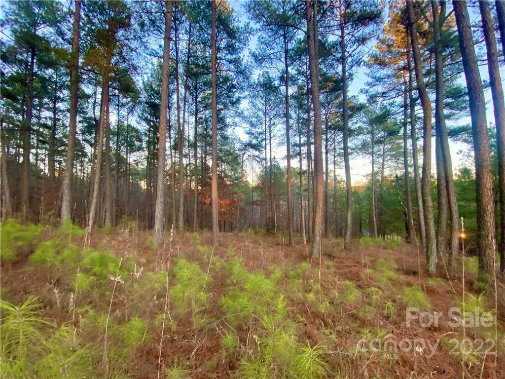 5501 Bridgewater Drive - Photo 1