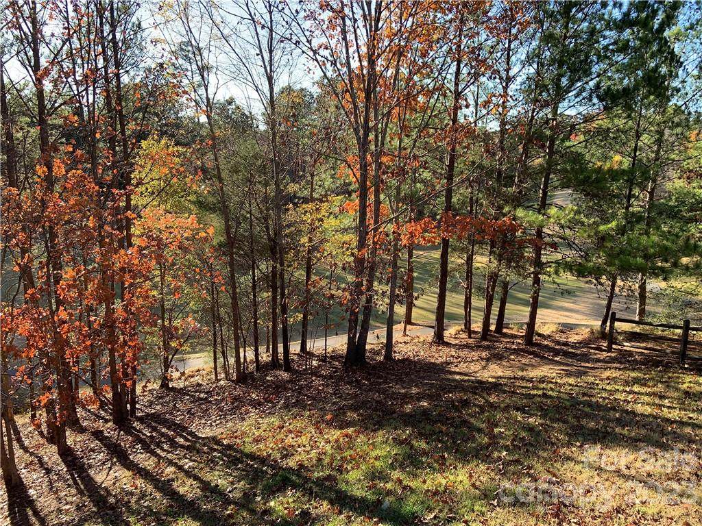 11001 Dog Leg Trace - Photo 1