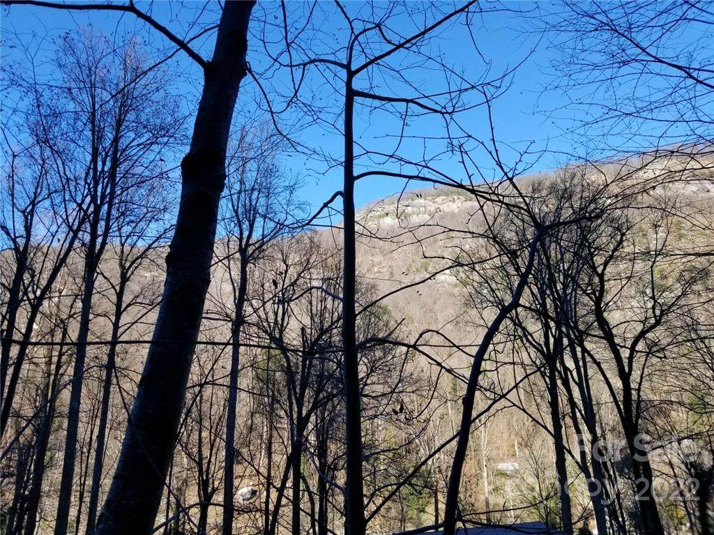 0 Fall Creek Drive - Photo 1