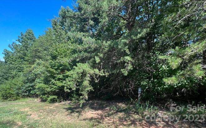 Lot 79 Lakeview Pass - Photo 1