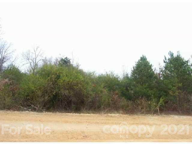 Lot 4 Petes Road - Photo 1