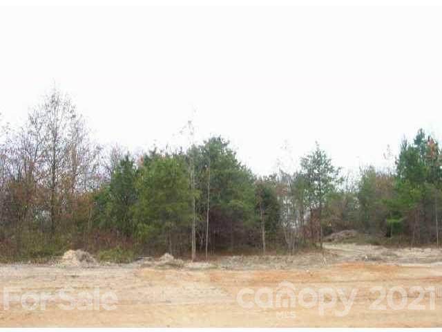 Lot 5 Petes Road - Photo 1