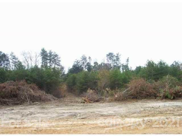 Lot 12 Petes Road - Photo 1
