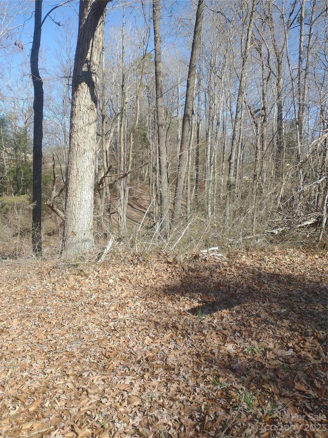 3360 Tolley Street - Photo 1