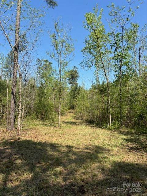 3007 Centergrove Road - Photo 1
