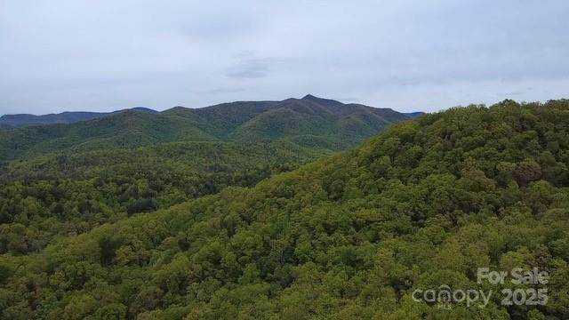25 Sweetwater Ridge Road - Photo 1