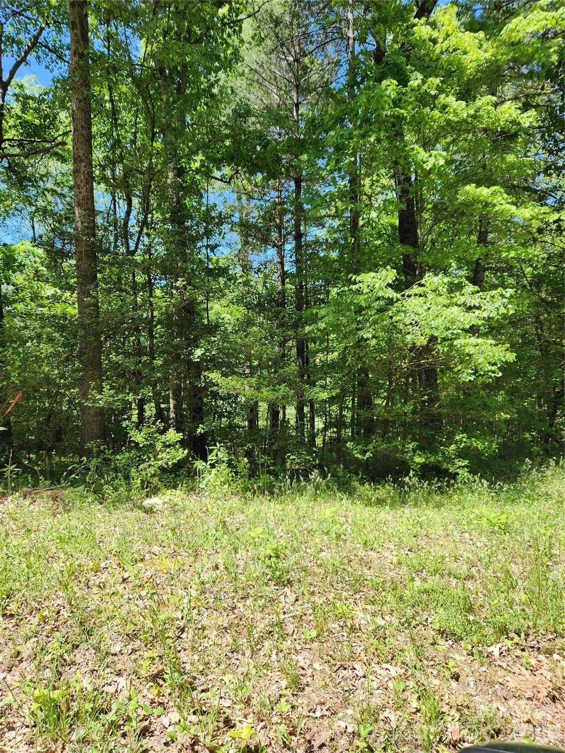 9 Tadpole Lane - Photo 1