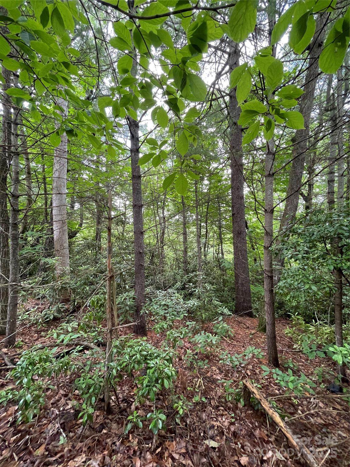 # 33 Woodglen Court - Photo 1