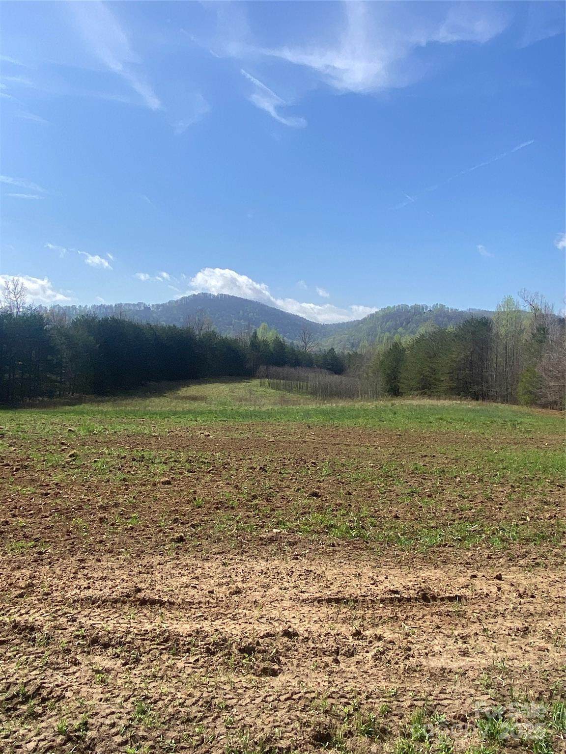 0 Cane Creek Mountain Road - Photo 1