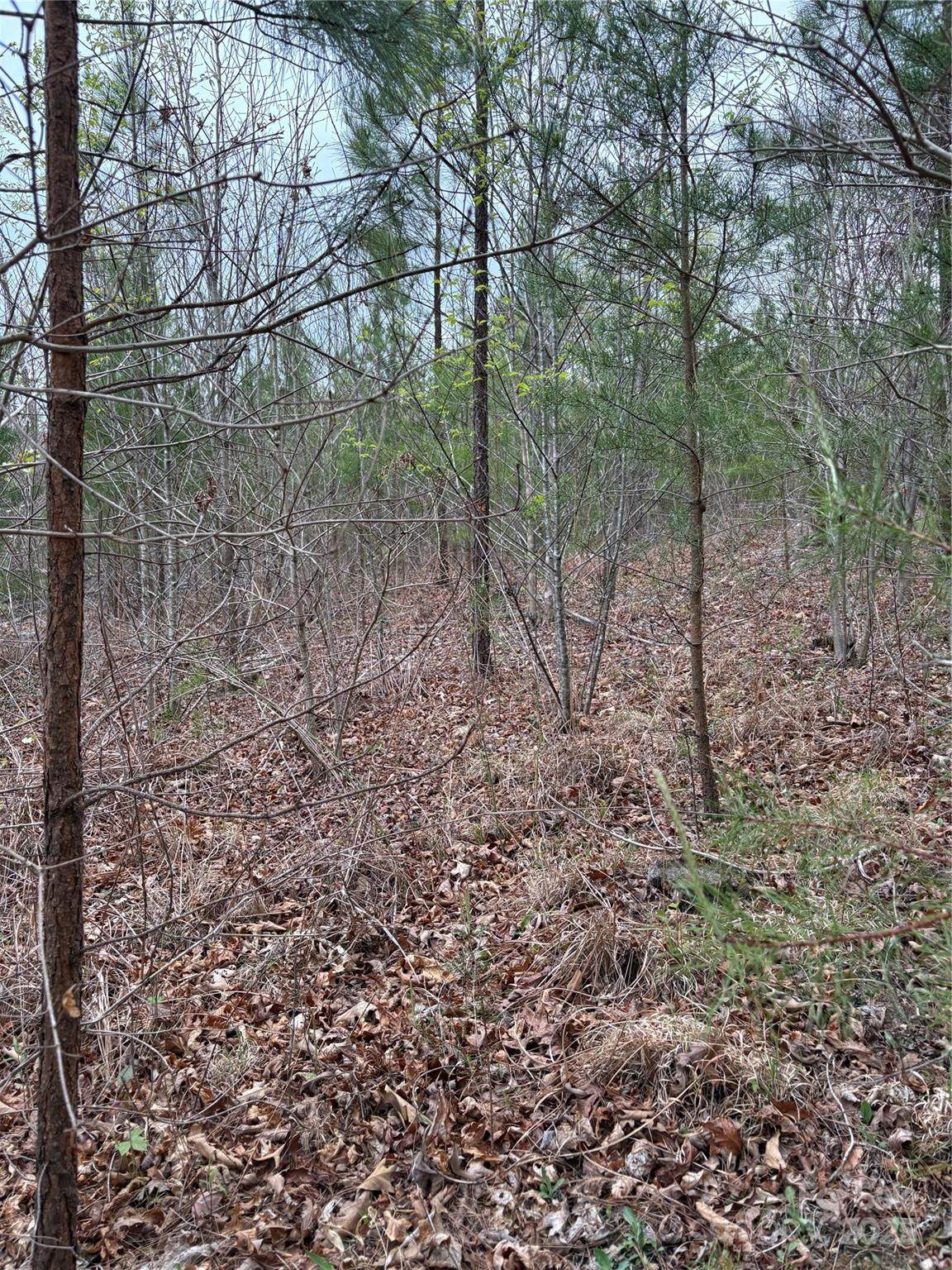 0 Rose Hollow Drive - Photo 1