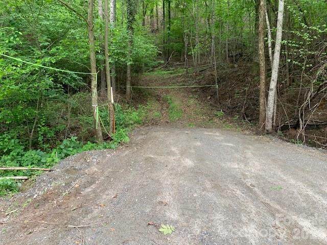 42.16 ACS Green River Cove Road - Photo 1