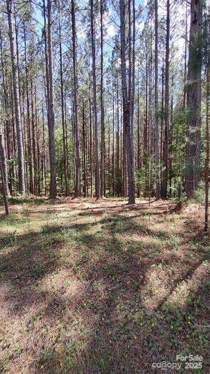 105 Cranberry Lane - Photo 1