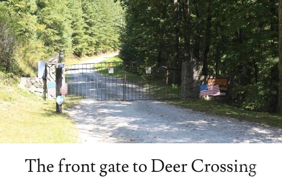 lot 38 Deer Crossing - Photo 1