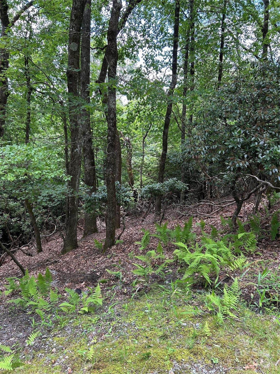 TBD Connestee Trail - Photo 1