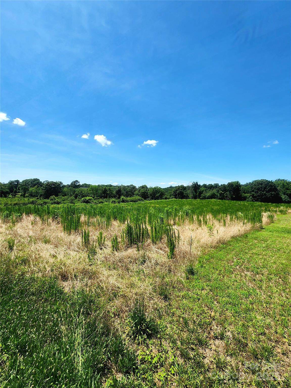 28681 Hatley Farm Road - Photo 1