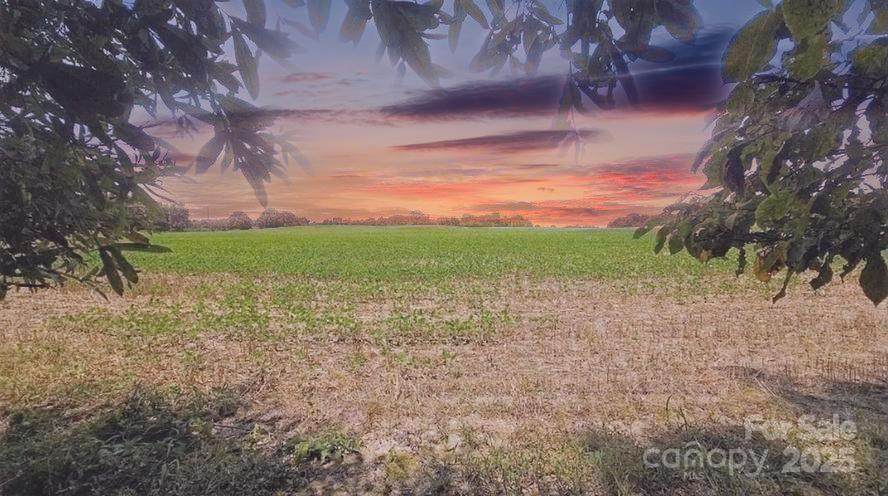 TBD Traywick Road - Photo 1