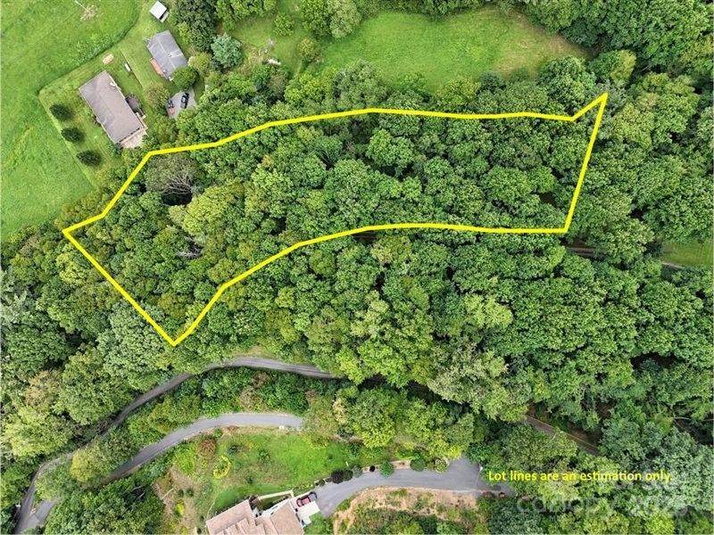 Lot 9 Becks Branch Road - Photo 1