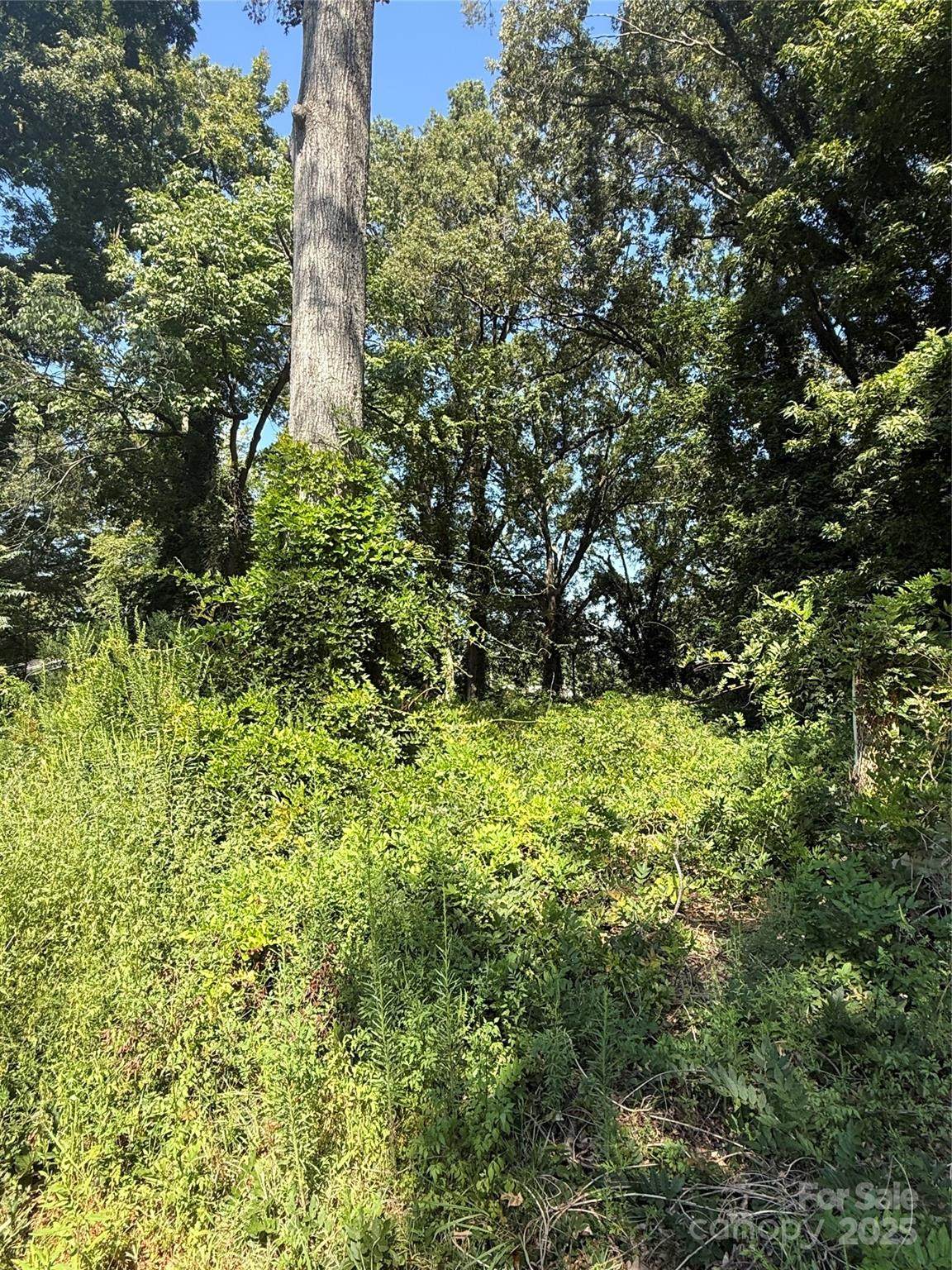 3615 Jonquil Street - Photo 1