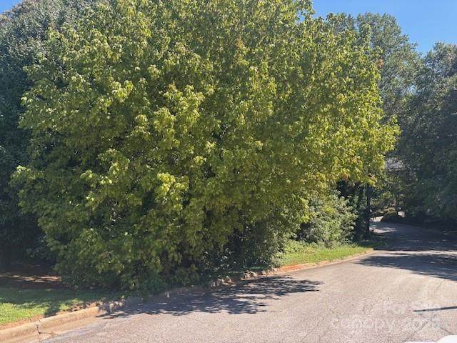 1541 & 1531 9th Street Lane - Photo 1