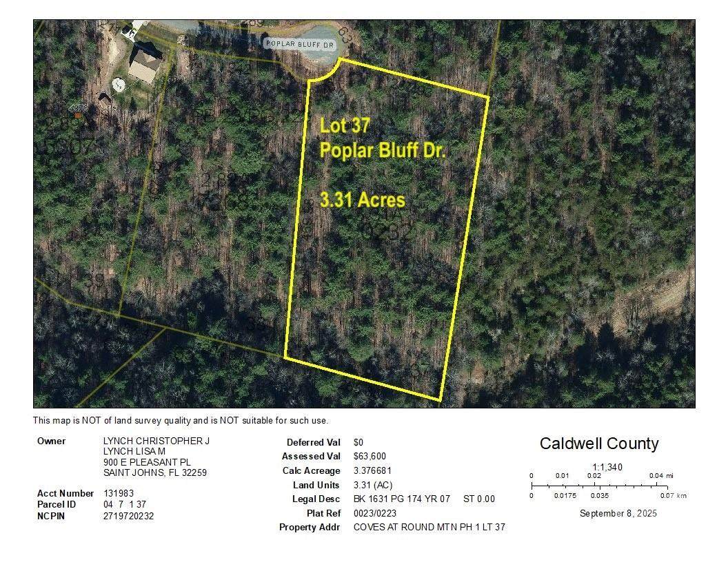 3.31 acres, Lot 37 Poplar Bluff Drive - Photo 1