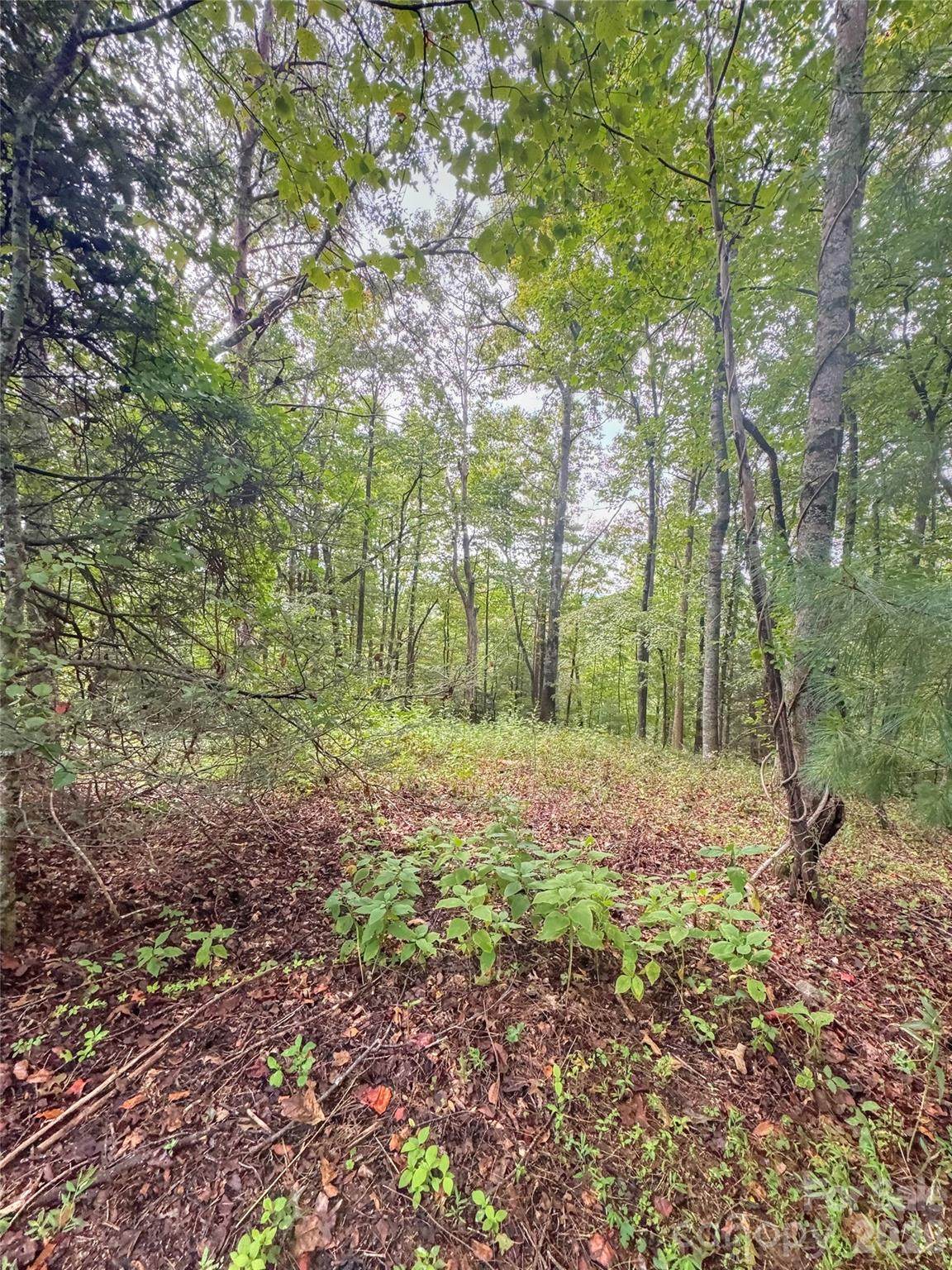 110 Stone Valley Way - Photo 1