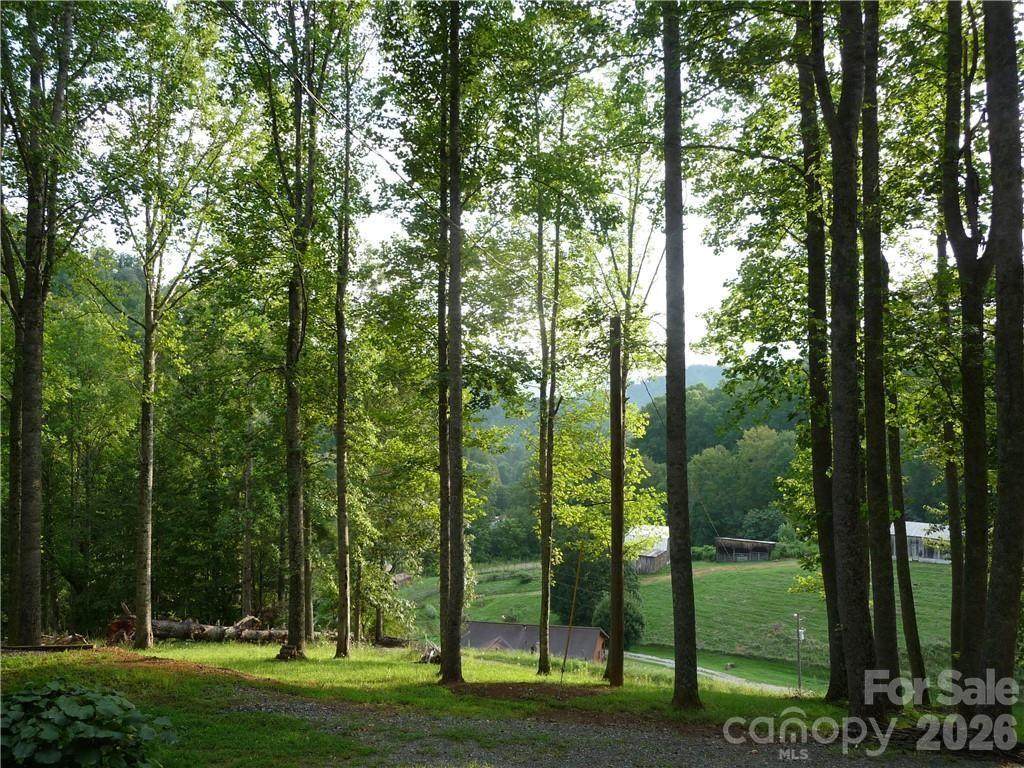 0 Joe Shoemaker Road - Photo 1
