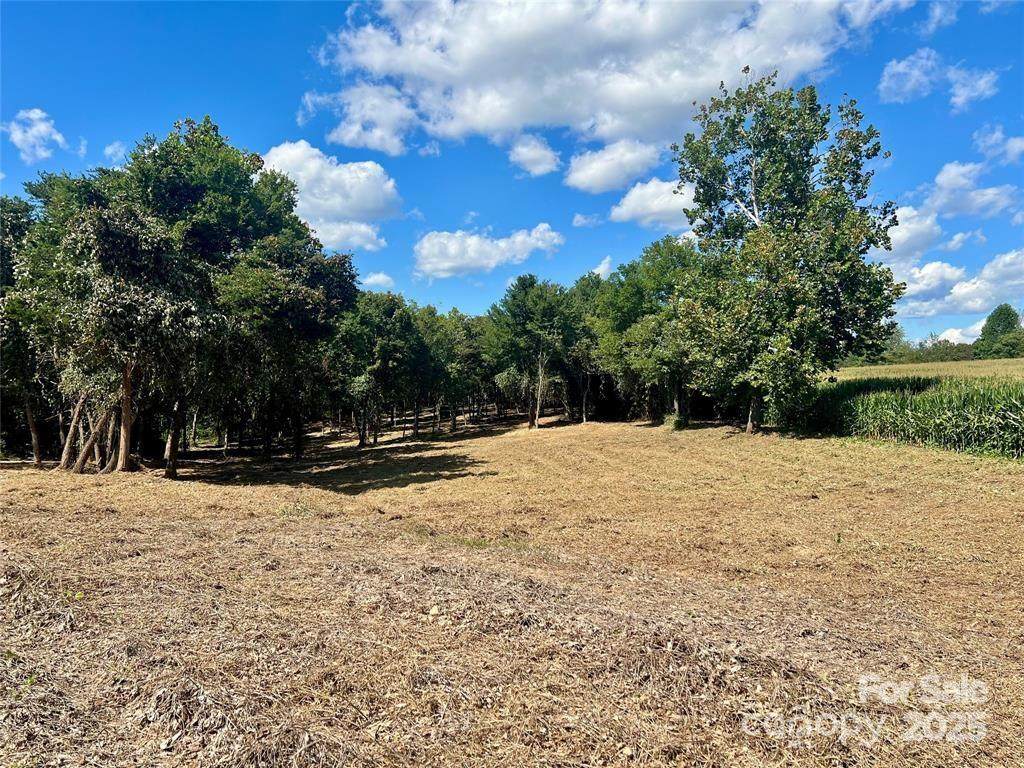 2095 Hatties Way - Photo 1