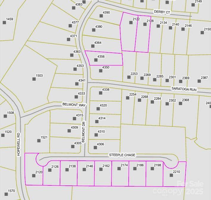 V/L Steeple Chase Court - Photo 1