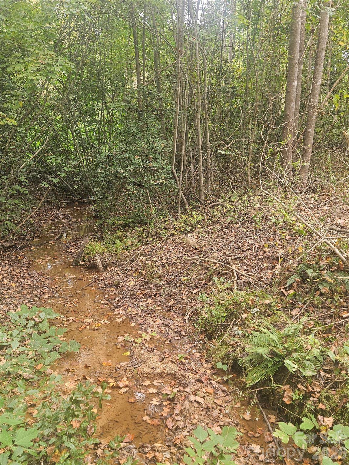 https://bt-photos.global.ssl.fastly.net/cmls/1280_boomver_2_4309916-1.jpg