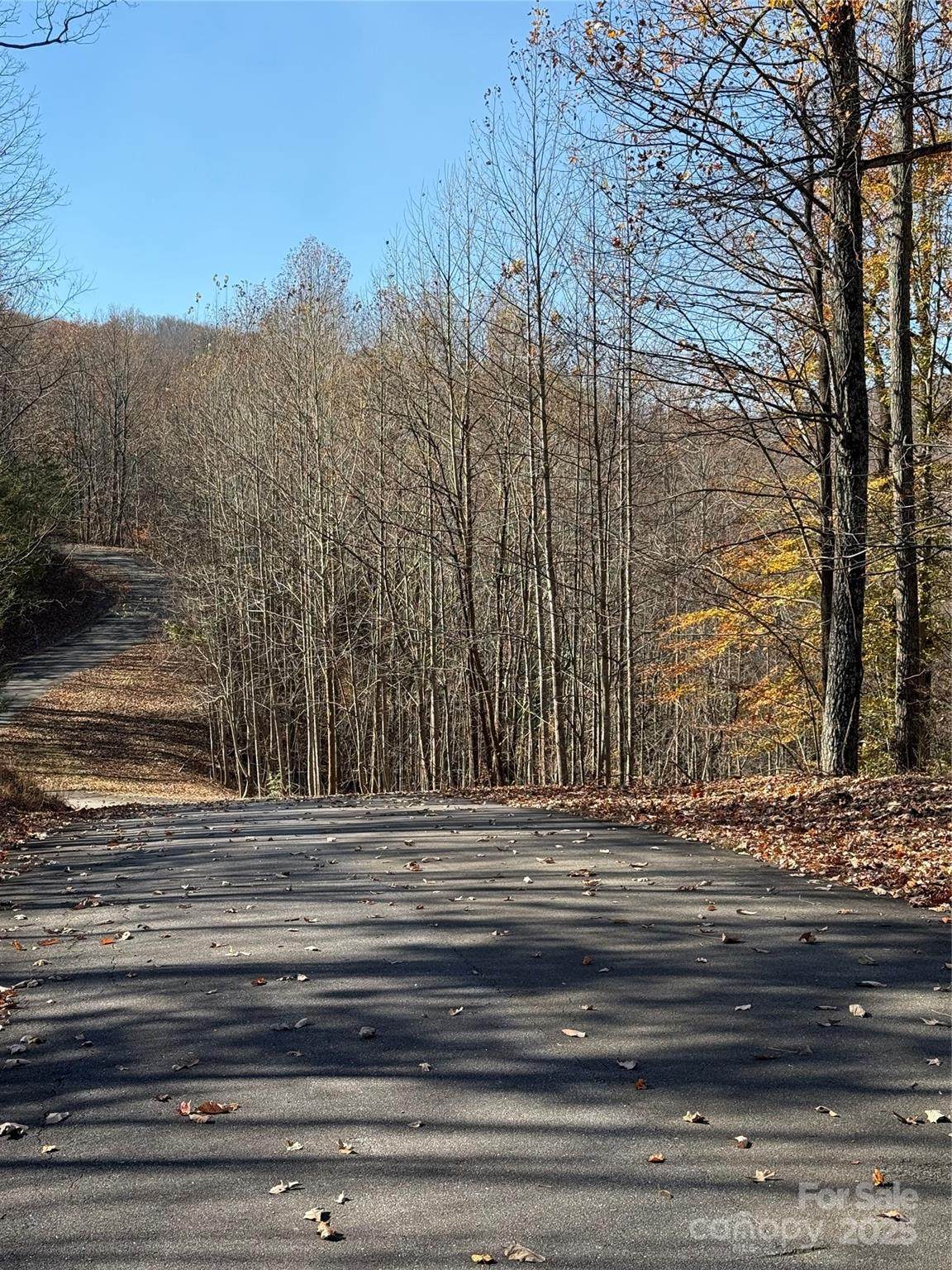 V/L Lot 72 & 170 Black Lark Drive - Photo 1